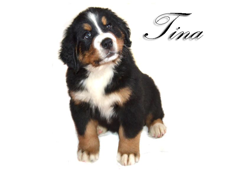 Tina