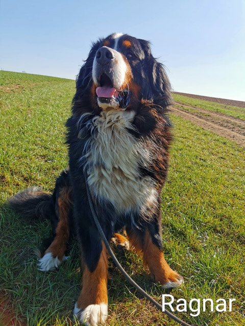 Ragnar